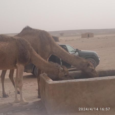 Chegaga Berber Camps Hotel M'Hamid Buitenkant foto