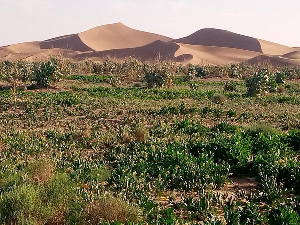 Chegaga Berber Camps Hotel M'Hamid Buitenkant foto