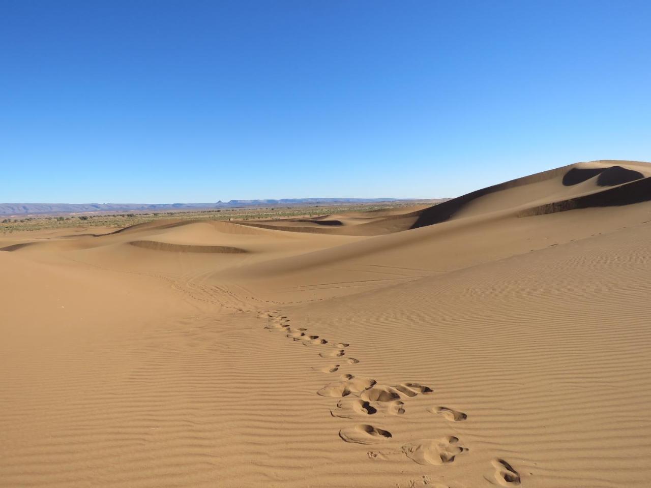 Chegaga Berber Camps Hotel M'Hamid Buitenkant foto